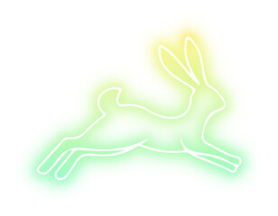 Set of rabbit neon