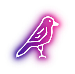 Set of pet shop neon