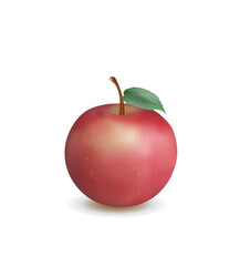 Realistic red apple on white background, vector