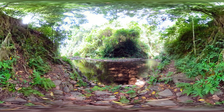 vr 360 jungle landscape river in rainforest. rainforest with green, lush vegetation