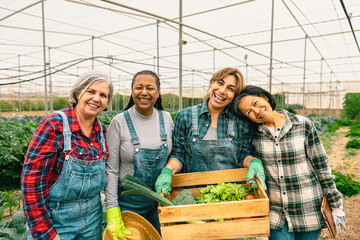 Happy multiracial women farmers working inside greenhouse - Farm people cooperative concept - obrazy, fototapety, plakaty