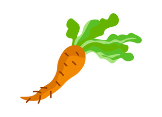 Healthy food icon. Colorful sticker with organic natural farm vegetable. Delicious ripe fresh carrot. Healthy lifestyle and diet. Cartoon flat vector illustration isolated on white background