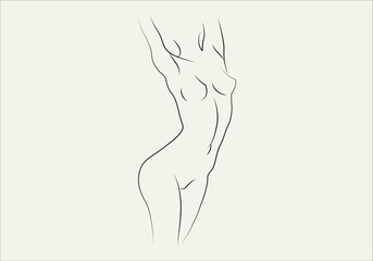Silhouettes of lovely lady. Beautiful girl stand in different pose. The figures of women are nude, feminine and slender. Vector illustration.