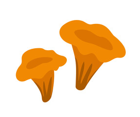 Healthy food icon. Sticker with ripe fresh chanterelles. Wild forest natural mushroom. Organic edible product. Healthy lifestyle and diet. Cartoon flat vector illustration isolated on white background