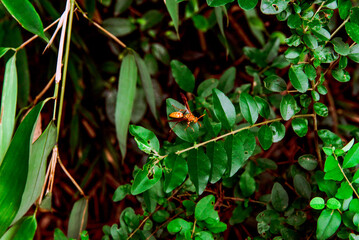 the Window of the World. It is a theme park opened in 1993 and has more than 130 reproductions of famous places in the world. Tianducheng, China is suburb of Hangzhou, Zhejiang