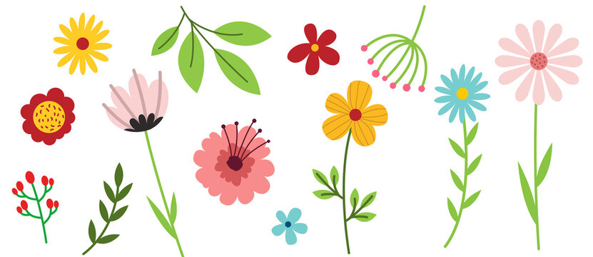 Flower elements. Doodle plants, leaves flowers and branches set. Illustration branch plant and flower silhouette on transparent background. PNG image	
