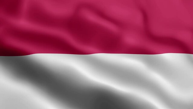 3D animation loop Monaco flag