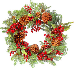 Christmas plants and flowers © Anthony