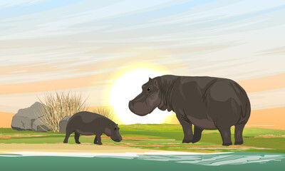 A hippo mother and her cub stands on the river bank. Wild animals of Africa. Realistic Vector Landscape