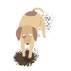 Agility dogs colored flat vector in cartoon style. Digging dog colored illustration isolated on white background. Collection of cute pets.