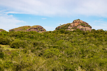 Geological formations and forest