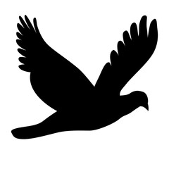 Bird Vector PNG