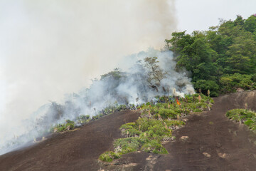 Morro dos Cabritos forest area on fire in Copacabana in Rio de Janeiro.
