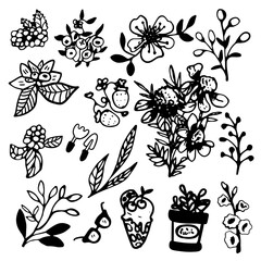 Cute hand drawn set of graphic floral and herbal elements. Doodle vector illustration for wedding design, logo and greeting card.