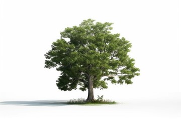 lone tree standing on a white background surrounded by green grass. Generative AI