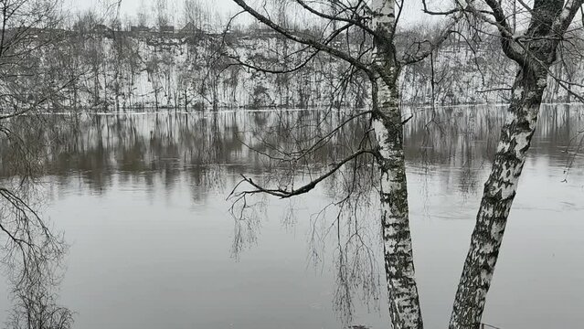 Full-flowing river in gloomy weather, after the spring ice drift. Remains of ice float past a steep bank with residential houses in the background. In the foreground are two birches.