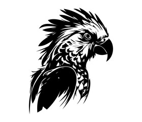 Parrot Face, Silhouettes Parrot Face SVG, black and white Parrot vector