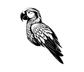 Fototapeta premium Parrot Face, Silhouettes Parrot Face SVG, black and white Parrot vector