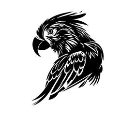 Parrot Face, Silhouettes Parrot Face SVG, black and white Parrot vector
