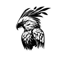 Fototapeta premium Parrot Face, Silhouettes Parrot Face SVG, black and white Parrot vector