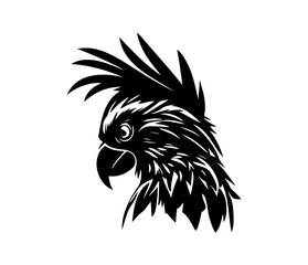 Parrot Face, Silhouettes Parrot Face SVG, black and white Parrot vector