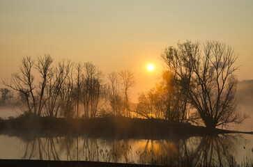 Morgensonne im Nebel