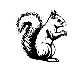 Squirrel Face, Silhouettes Squirrel Face SVG, black and white Squirrel vector