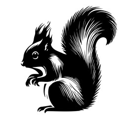 Squirrel Face, Silhouettes Squirrel Face SVG, black and white Squirrel vector