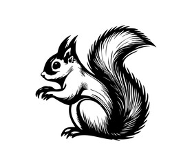 Squirrel Face, Silhouettes Squirrel Face SVG, black and white Squirrel vector