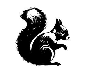 Squirrel Face, Silhouettes Squirrel Face SVG, black and white Squirrel vector