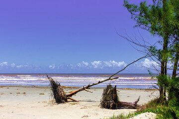 Fototapeta premium Praia do Araçá IMG_0792