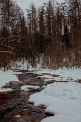 Turbulent river flows among the winter forest