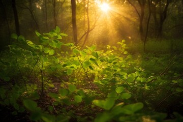 Sunlight shining upon leaves, Photosynthesis digital concept render