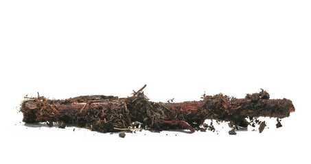 Rotten, wet stump with dirt isolated on white