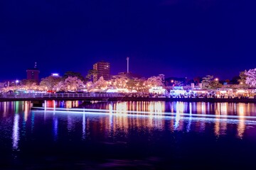 Fototapeta na wymiar 岡崎市、岡崎公園の夜桜