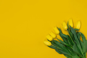 Fototapeta premium Bouquet of Yellow Tulips on a yellow background. Copy space for text