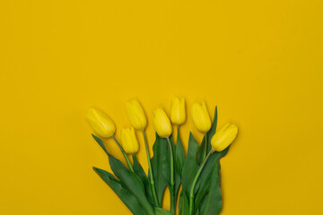 Bouquet of Yellow Tulips on a yellow background. Copy space for text