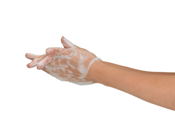 Hands Washed with Soap