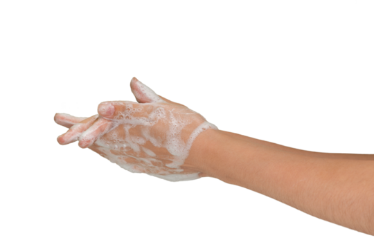 Hands Washed with Soap