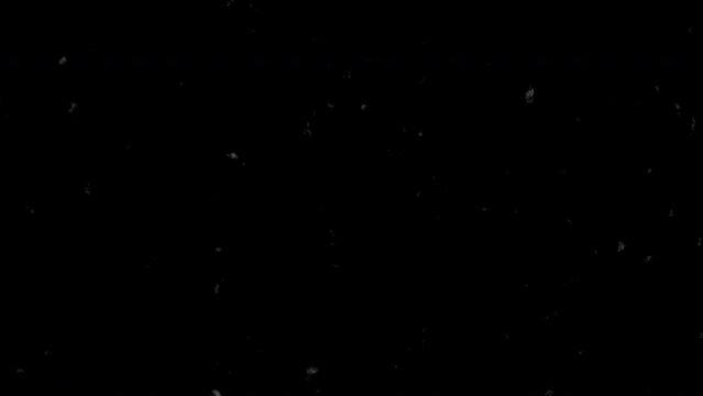 Simple floating cinema dust or flickering spray on a black background, analog vintage parts with bad interference, chalk school noise background. Transition monochrome masks templates overlay ready