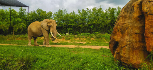Esto es colombia un pais lleno de amor, cultura, biodiversidad, aventuras, paisajes donde podras amar y disfrutar todo lo que te rodea, ven te invito a conocer el eje cafetero y todos sus alrededores  © Hbuitragoz