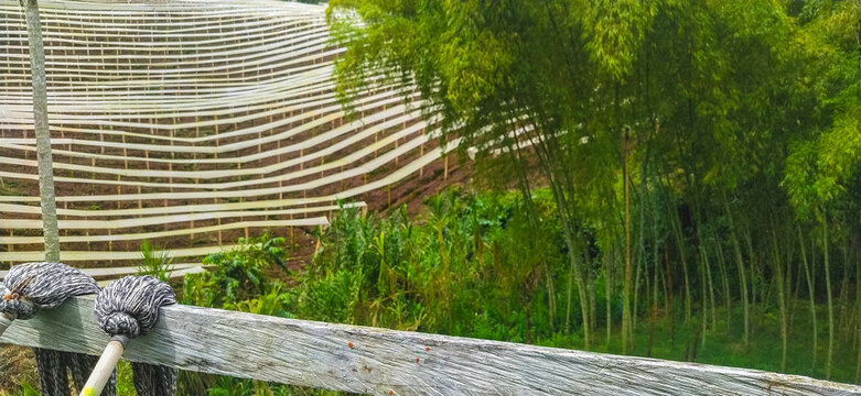 Esto es colombia un pais lleno de amor, cultura, biodiversidad, aventuras, paisajes donde podras amar y disfrutar todo lo que te rodea, ven te invito a conocer el eje cafetero y todos sus alrededores 