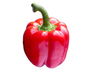 red bell pepper ontransparent background