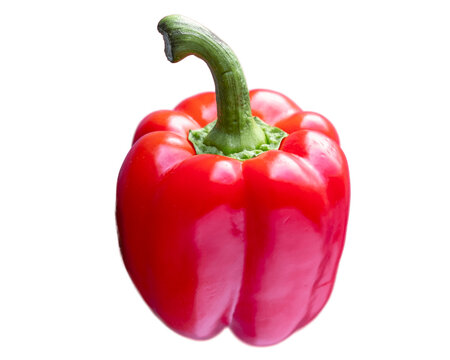 red bell pepper ontransparent background