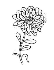 flower vector line art