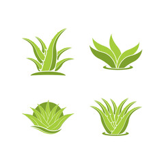 Aloe Vera logo icon design symbol beauty