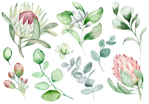 Set of watercolor floral elements. Collection of elements of flowers, green leaves - for bouquets, wreaths, arrangements, wedding invitations, anniversaries, birthdays, cards, congratulations, cards