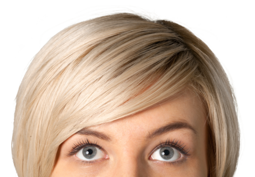 Closeup shot of woman eyes with day makeup. Long eyelashes - Powered by Adobe