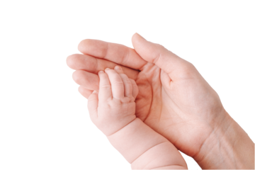 Close-up of mother hands holding a small hand of a newborn baby isolated on a white background. Happy family life concept.