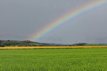 Rainbow over stormy sky. Landscape with rainbow over dark stormy sky
